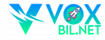 Avatar: Voxbil.net